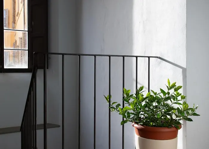 Palazzo Baronio- Casa Di Olimpio * Ravenna